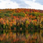 New England luxury yacht charter: Fall foliage and fresh lobster delights