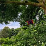 Serpentine Woods Alphabet Trail – for younger visitors to Kendal