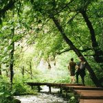 Trails of the Plitvice Lakes National Park