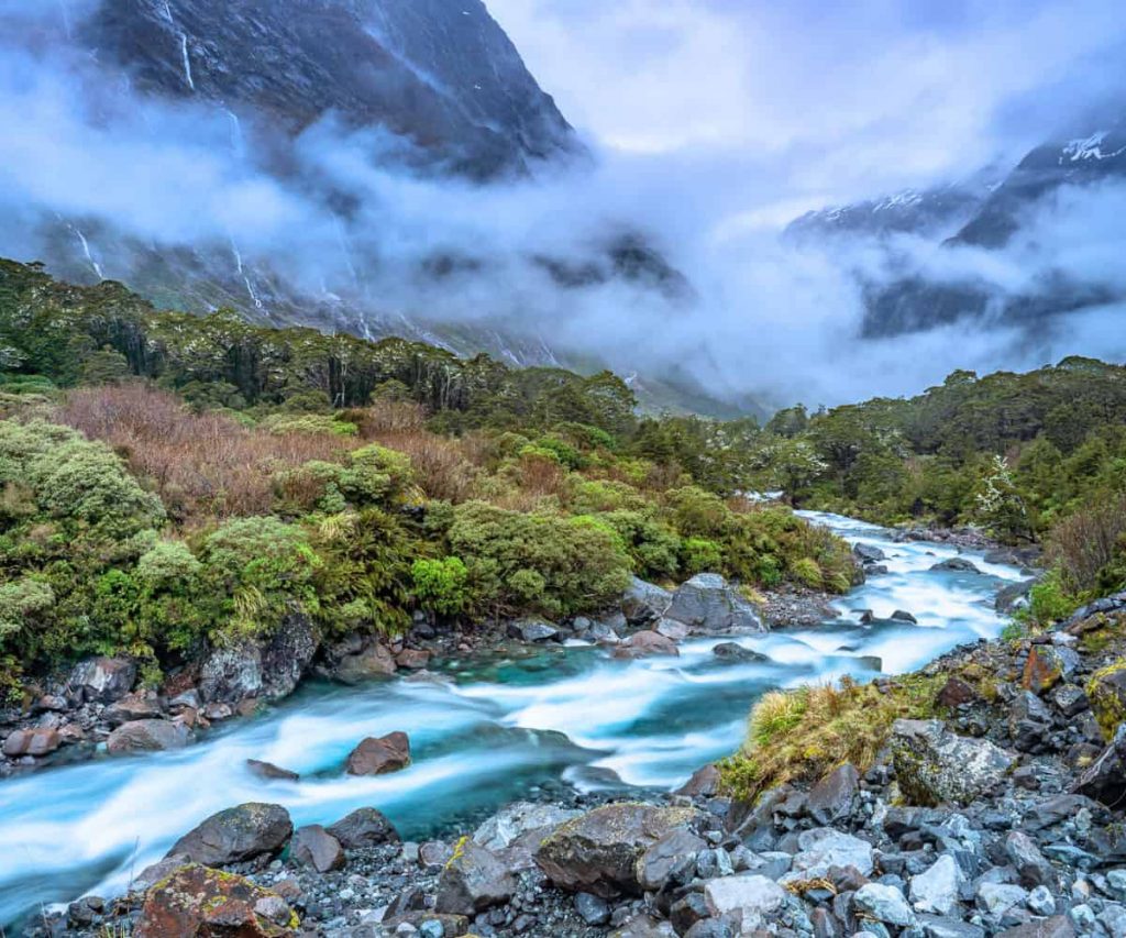 Planning your dream vacation to New Zealand?