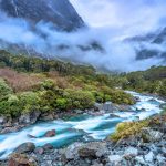 Planning your dream vacation to New Zealand?